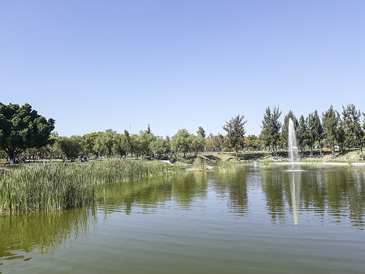 ¿QUÉ HAY? El lago artificial del parque es una de las atracciones del sitio. (Fotos: Alfonso Hernández)